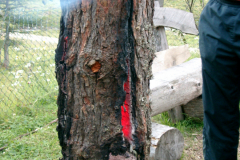 Bluemchengruppe2004_0244