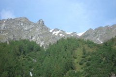Bluemchengruppe2006_0027