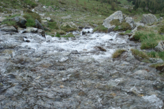 Bluemchengruppe2006_0083