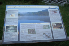 Bluemchengruppe2006_0216