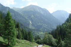 Bluemchengruppe2006_0236