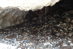Bluemchengruppe2006_0243