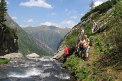 Bluemchengruppe2006_0299