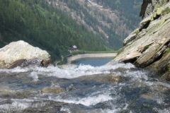 Bluemchengruppe2006_0302