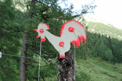 Bluemchengruppe2006_0565