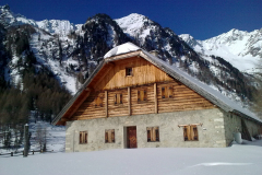 Bild0017