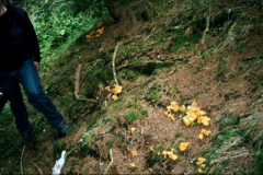 jungenlager2002-24