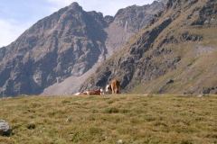 jungenlager2003-31
