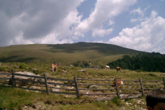 jungenlager2003-6