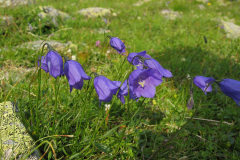 Jungenlager2004_0152