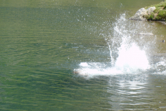 Jungenlager2004_0337
