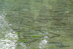 Jungenlager2004_0409