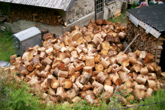 Jungenlager2005_0103