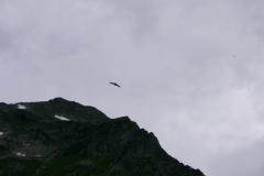 Jungenlager2005_0811