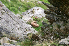Jungenlager2006_0386