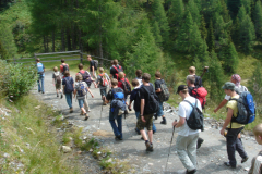 jl2007-24