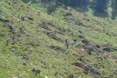 jl2009_-19
