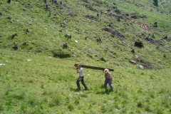 jl2009_-20