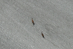 jl2009_-37