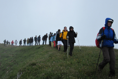 JL_2010-05