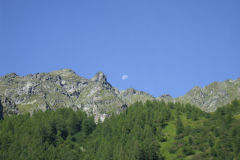 JL_2010-39