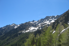 Mai2005_0026