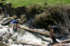 Mai2005_0256