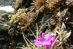 Mai2005_0312