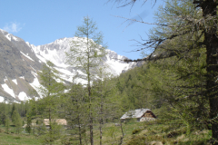 Mai2006_0015