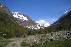 Mai2006_0043