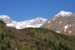 Mai2006_0066