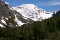 Mai2006_0068