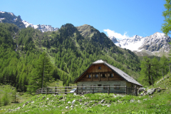 MaiJuni-2010-056
