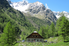 MaiJuni-2010-058