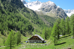 MaiJuni-2010-059