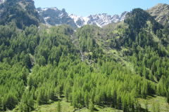 MaiJuni-2010-060