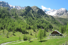 MaiJuni-2010-061