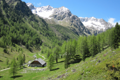 MaiJuni-2010-067