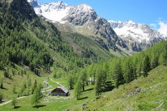 MaiJuni-2010-070