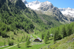 MaiJuni-2010-071