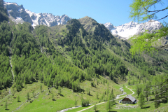 MaiJuni-2010-073