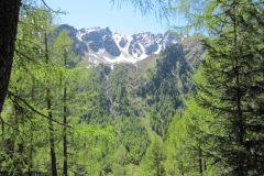 MaiJuni-2010-074