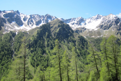 MaiJuni-2010-077