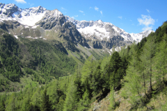 MaiJuni-2010-082