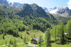 MaiJuni-2010-083
