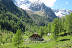 MaiJuni-2010-086