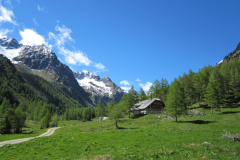 MaiJuni-2010-087