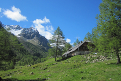 MaiJuni-2010-088