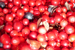 Oktober_2010-74