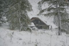 Oktober_2011_Annegret_Bertels-536